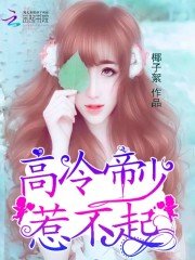 高冷帝少，惹不起